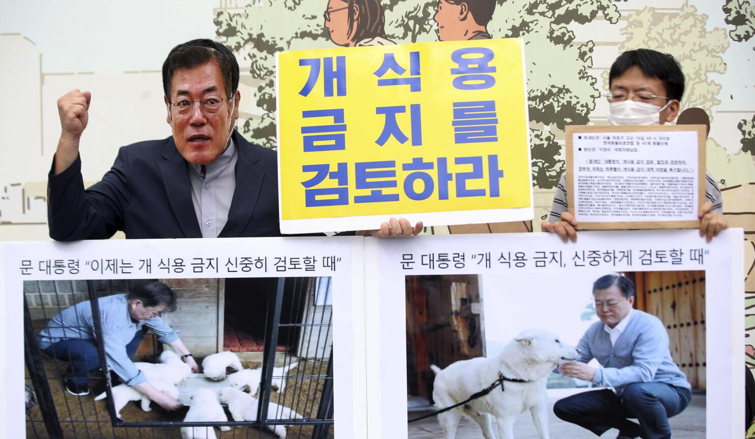 Eating dog meat online